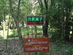 -同里国家湿地公园