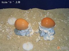 -亚龙湾中心广场