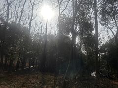 -象山森林公园