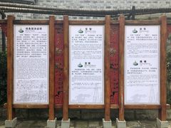 -燊海井