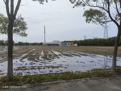 -嘉北郊野公园