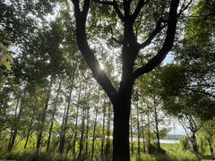 -潜龙渠公园