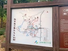 -鬼笑石后山停车场