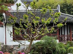 -上海醉白池公园