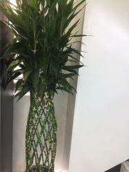 -悟空祛痘·诺奖技术专业店