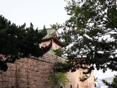 -青岛海底世界-水族馆