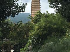 -三塔倒影公园