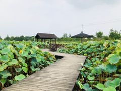 -梁鸿国家湿地公园