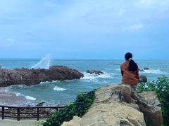 -小麦岛公园