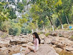 -广州白江湖森林公园