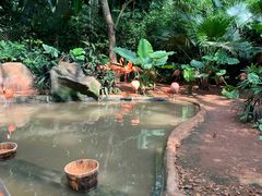 -海南热带野生动植物园