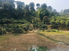 -南山植物园