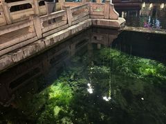 -环城公园