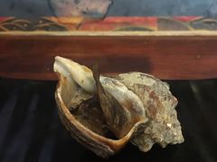 -鸟串烧Yakitori