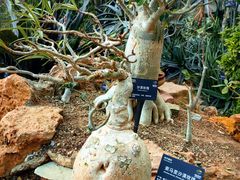 -国家植物园南园