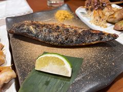 烤青花鱼-熊串烧亭.居酒屋(珠江路店)