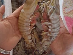 -三合园水饺(二马路店)