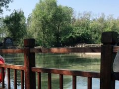 -溱湖国家湿地公园