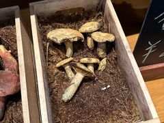 -丽江金茂凯悦臻选酒店-滇香馆