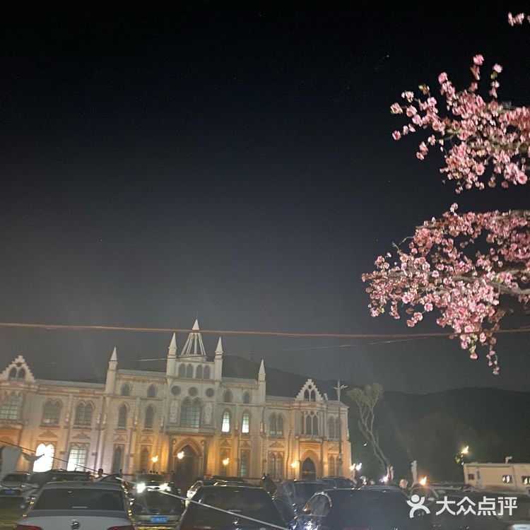 玫瑰海岸,一个可以骑马的海滩,有很多来拍婚纱照的