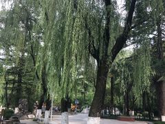 -西安市长乐公园