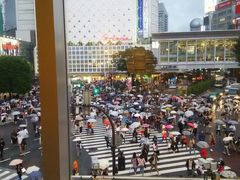 -涩谷区