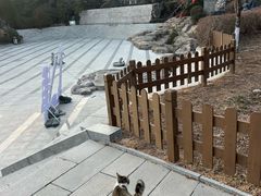 -石老人观光园