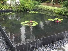 同里湖度假村二期-同里湖度假村(二期店)