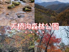 -丹东天桥沟景区