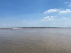 -观潮胜地公园