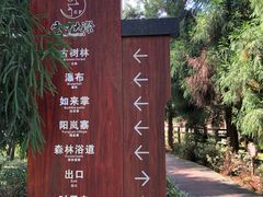 -云中大漈