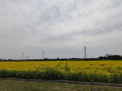 -桤木河湿地公园