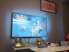 -浣熊部落ps4 ps5 switch 电玩(茶店子店)