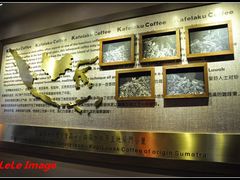 -猫屎咖啡(日月光中心广场店)