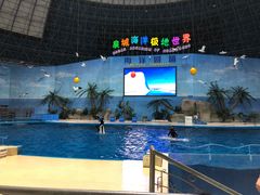 -泉城欧乐堡海洋极地世界