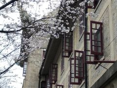 -武汉大学-樱园