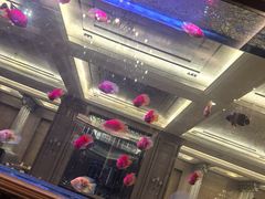 -星河湾半岛酒店-真粤中餐厅