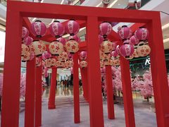-韵秋荷(宝山龙湖天街店)