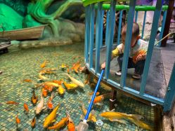 -酷嗒动物文化乐园(cutezoo西溪乐天城店)