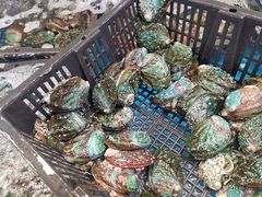 -韩家墅海吉星农产品批发市场