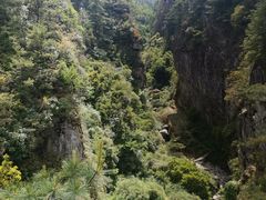 -苍山感通索道