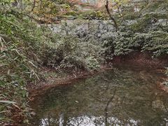 -九曜山