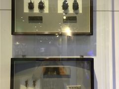 -上海昆虫博物馆