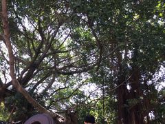 -闽粤南澳总镇府