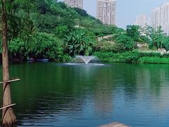 -重庆彩云湖湿地公园