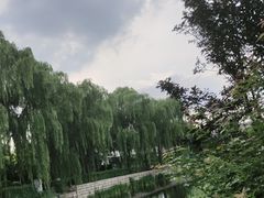 -南锣鼓巷