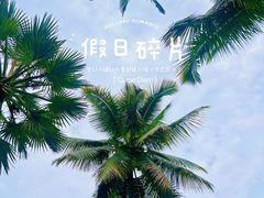 -中国科学院西双版纳热带植物园