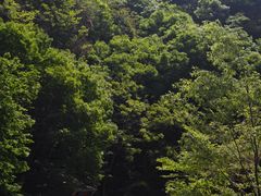 -湖洞水自然风景区