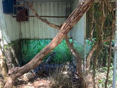 -费瑟代尔野生动物园