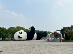 -苏州太湖国家湿地公园